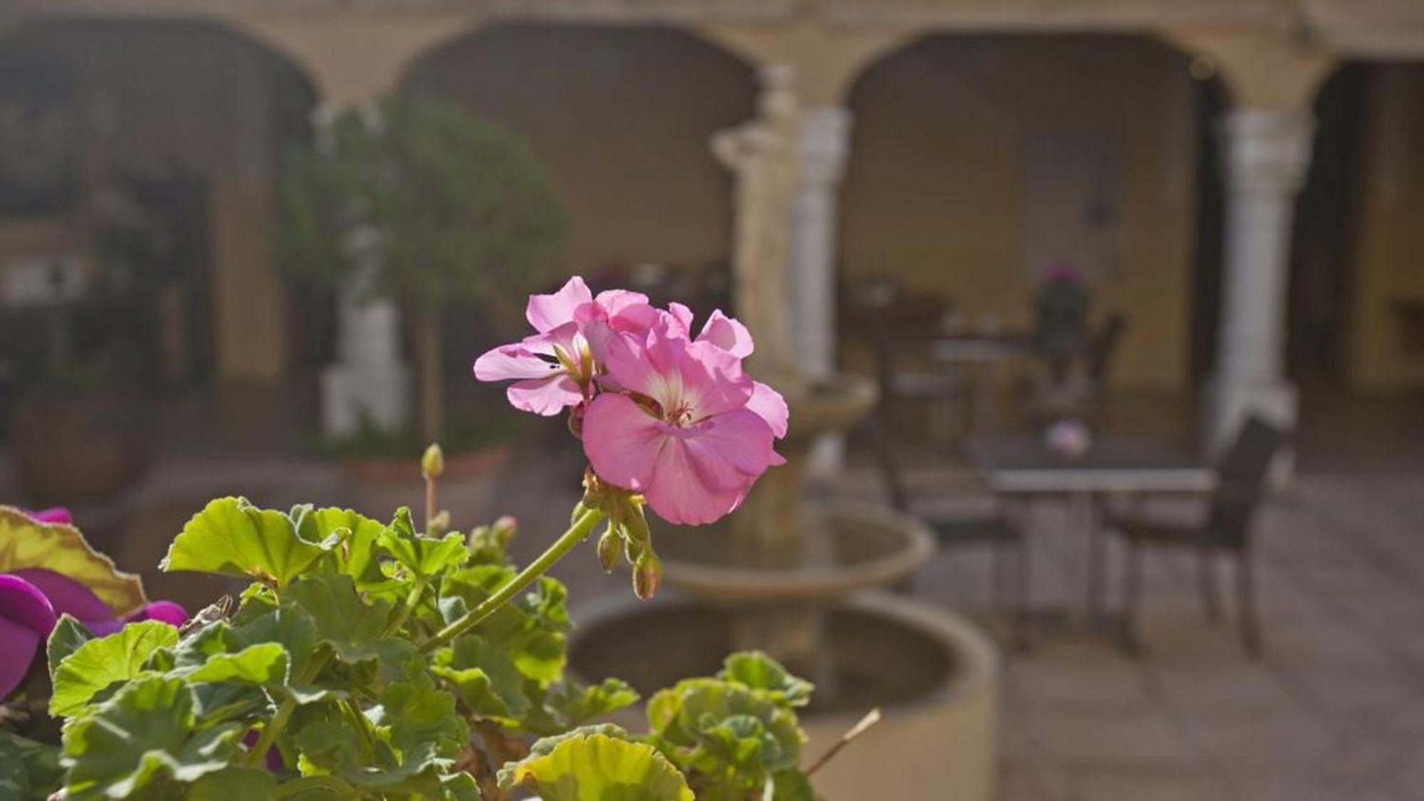 Nekazabal Villa Sa Pobla