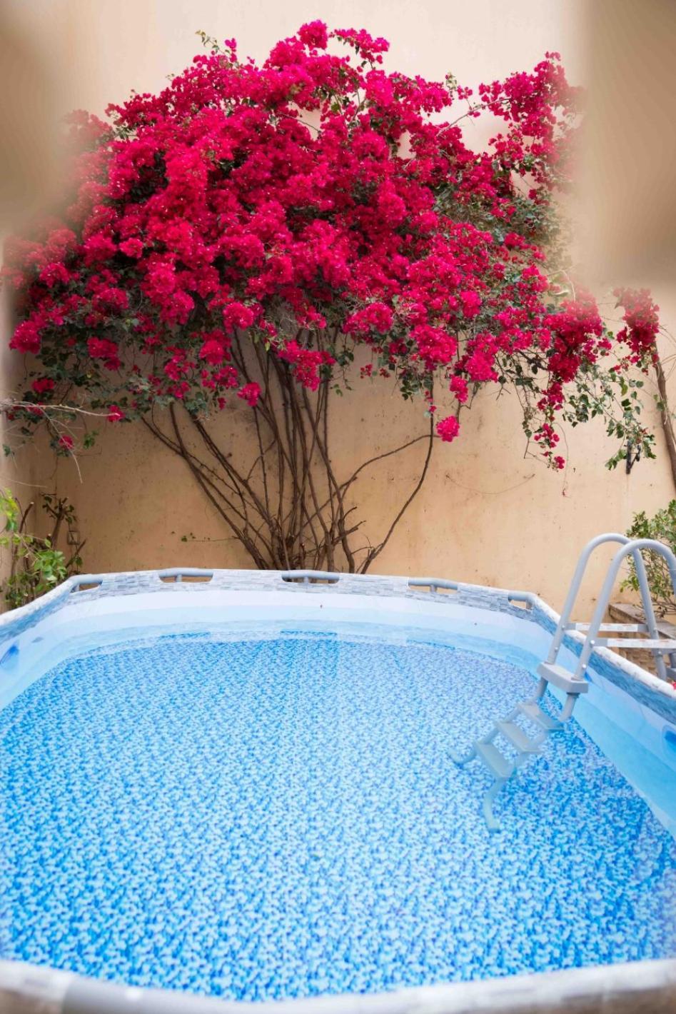 Nekazabal Villa Sa Pobla